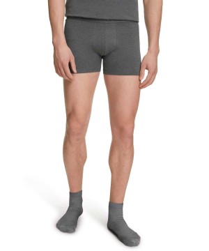 Falke 2-Pack Boxer Daily Comfort Boxer & Slips Heren Grijs | ECY-184352