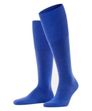 Falke Airport Knee-high Socks Sokken Heren Blauw | ZXB-358094