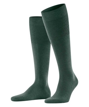 Falke Airport Knee-high Socks Sokken Heren Groen | GJB-081763