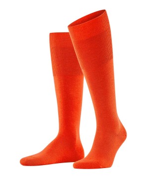 Falke Airport Knee-high Socks Sokken Heren Oranje | SRH-960214