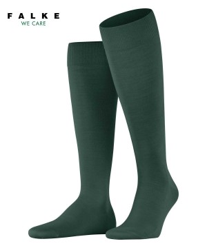 Falke ClimaWool Knee-high Socks Sokken Heren Groen | GAO-176294