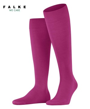 Falke ClimaWool Knee-high Socks Sokken Heren Rood | CEF-890273