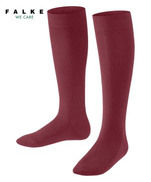 Falke Family Knee-high Socks Sokken Kinderen Rood | PXK-391725