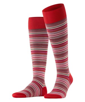 Falke Microblock Knee-high Socks Sokken Heren Rood | VPY-647021