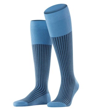 Falke Oxford Stripe Knee-high Socks Sokken Heren Blauw | UJM-461023