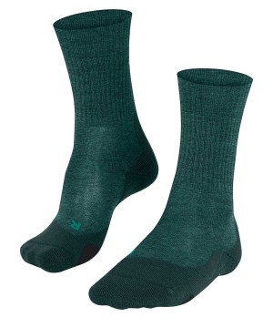 Falke TK2 Explore Wool Trekking Socks Sokken Heren Groen | PMA-021847