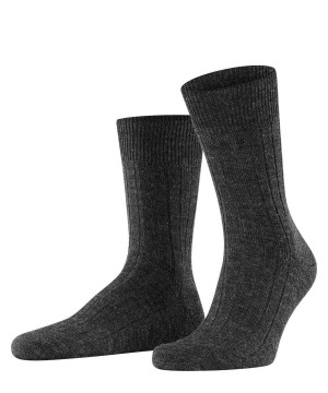 Falke Teppich im Schuh Socks Sokken Heren Grijs | IJC-573126