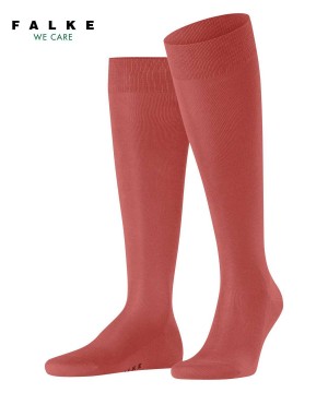 Falke Tiago Knee-high Socks Sokken Heren Rood | IRH-613958