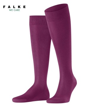 Falke Tiago Knee-high Socks Sokken Heren Paars | NHB-519746