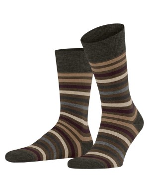 Falke Tinted Stripe Socks Sokken Heren Groen | HRU-693205