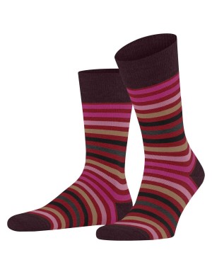 Falke Tinted Stripe Socks Sokken Heren Rood | VUT-403965