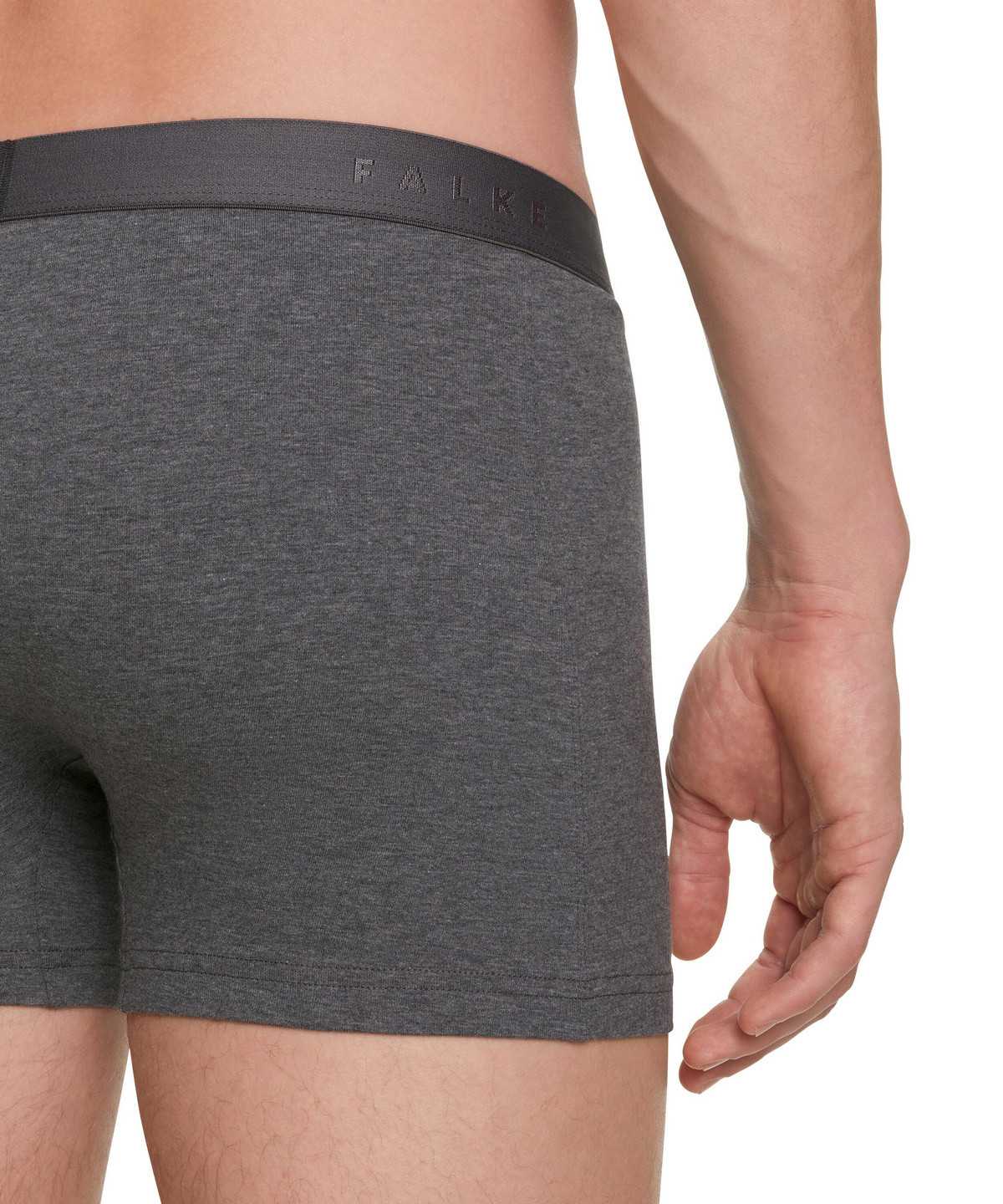 Falke 2-Pack Boxer Daily Comfort Boxer & Slips Heren Grijs | ECY-184352