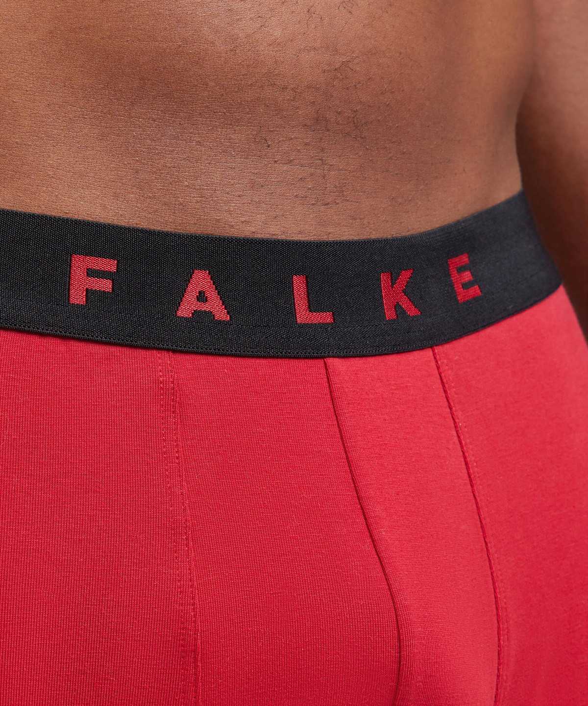 Falke 2-Pack Boxer Daily Comfort Boxer & Slips Heren Multicolored | GYI-546172