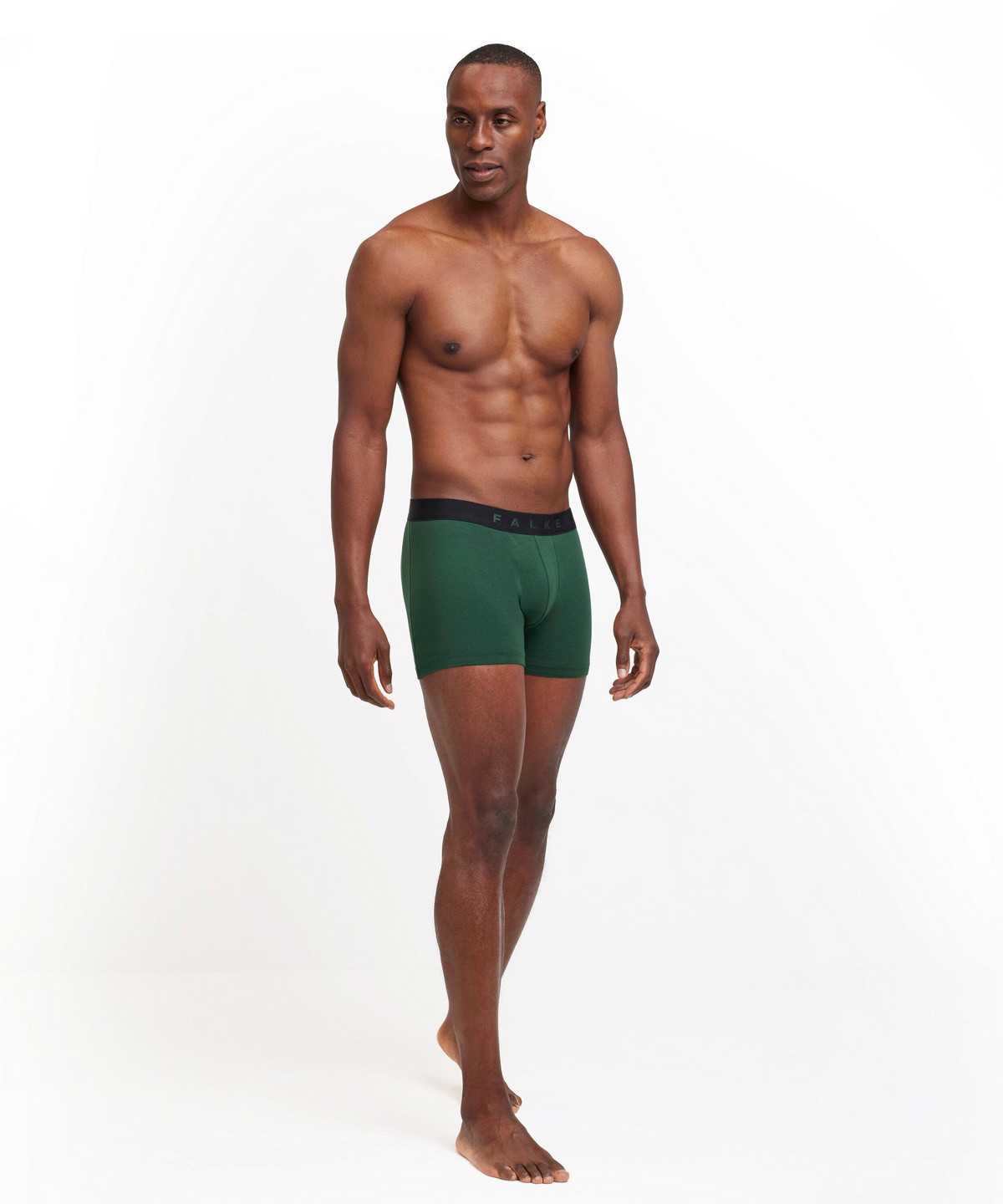 Falke 2-Pack Boxer Daily Comfort Boxer & Slips Heren Multicolored | NKV-351067