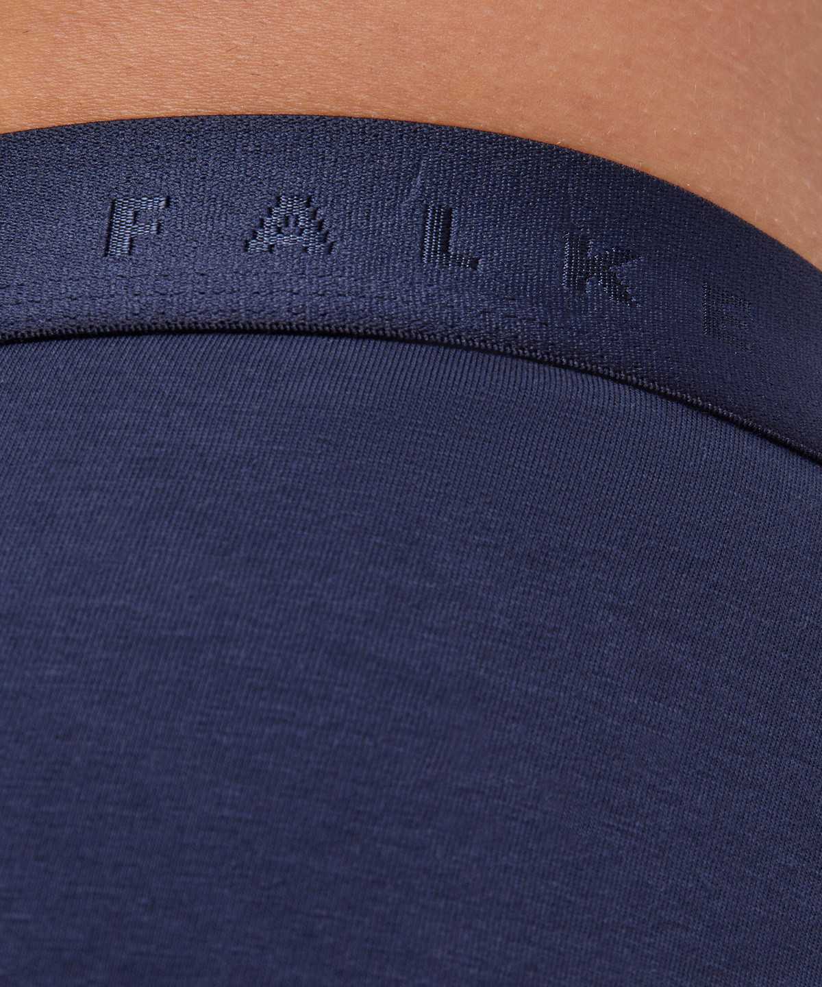 Falke 2-Pack Slip Daily Comfort Boxer & Slips Heren Grijs | CSY-408327