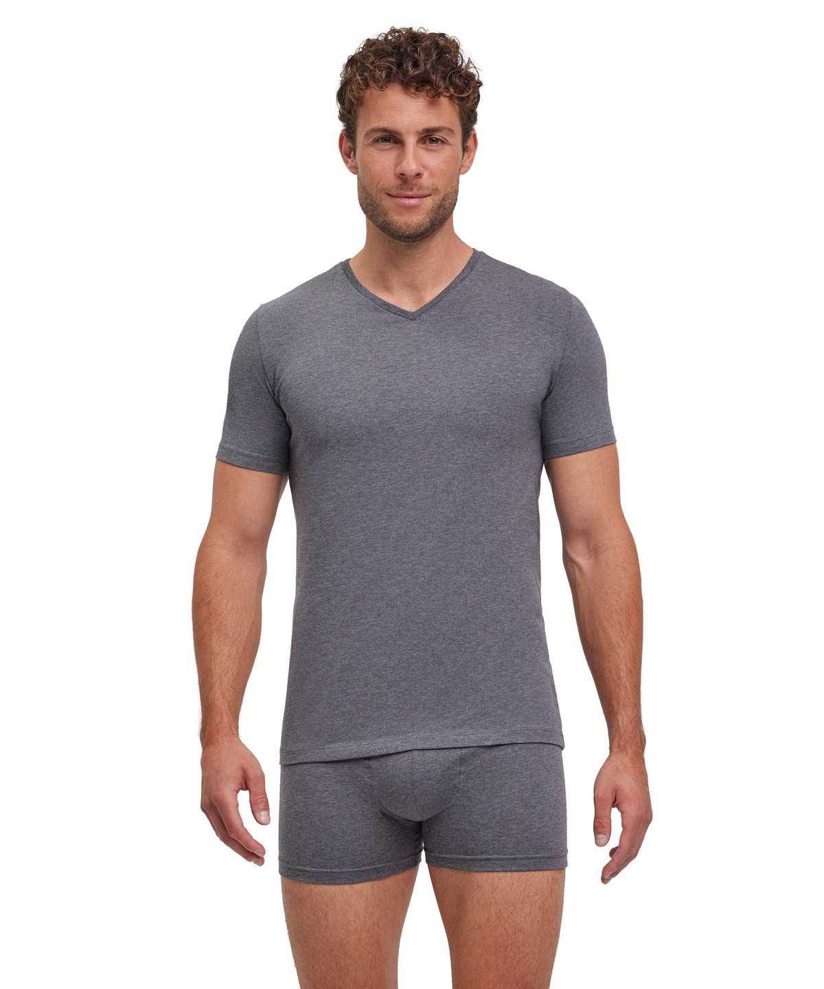 Falke 2-Pack T-Shirt V-neck Daily Comfort Overhemd Met Korte Mouwen Heren Grijs | YWR-345072