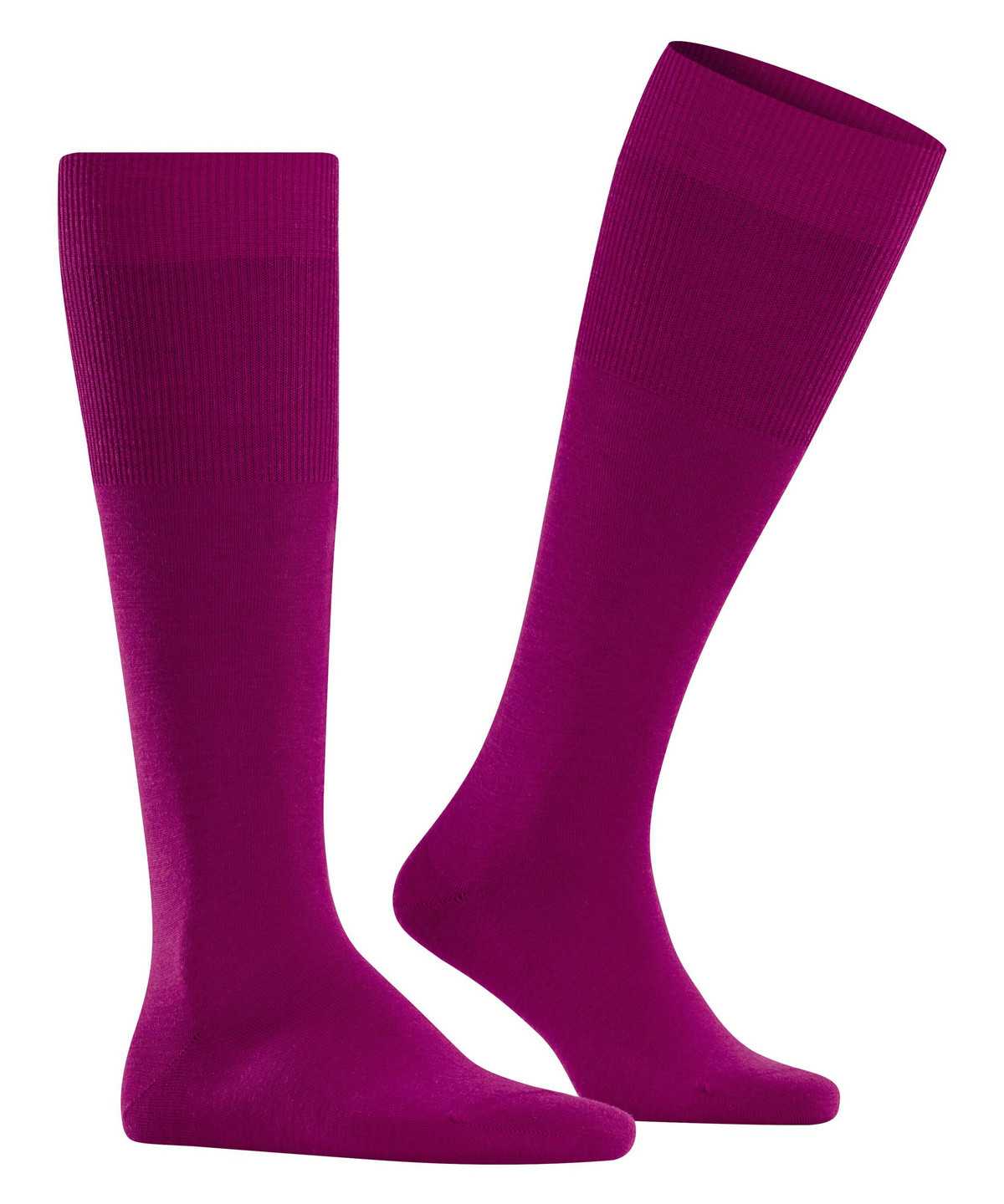 Falke Airport Knee-high Socks Sokken Heren Roze | ICK-087435