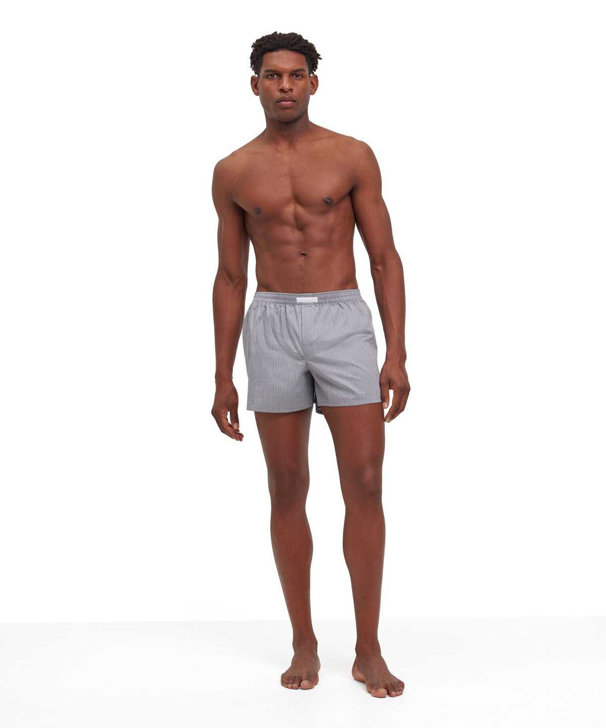 Falke Boxer Boxer & Slips Heren Grijs | TWP-217956