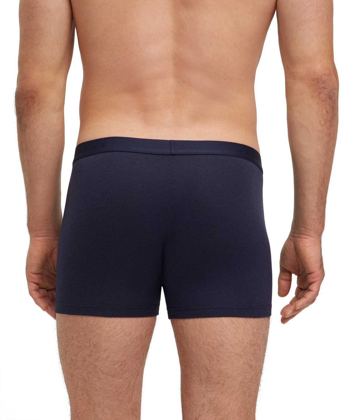 Falke Boxer Daily Climate Control Boxer & Slips Heren Grijs | BKG-805613