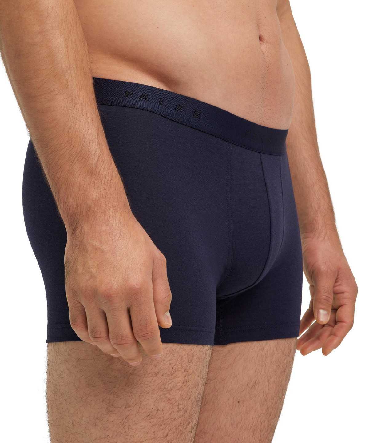 Falke Boxer Daily Climate Control Boxer & Slips Heren Grijs | BKG-805613