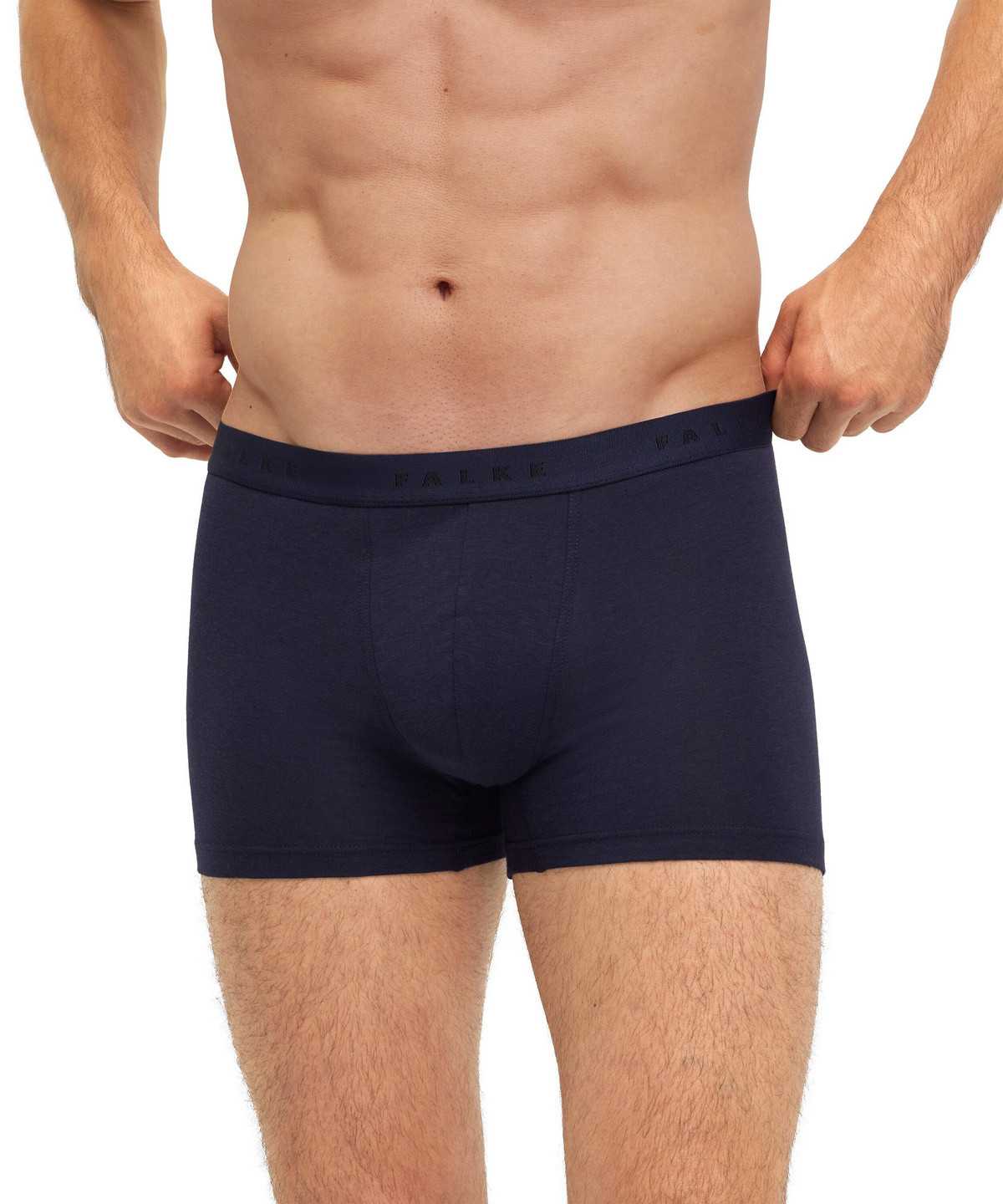 Falke Boxer Daily Climate Control Boxer & Slips Heren Grijs | BKG-805613