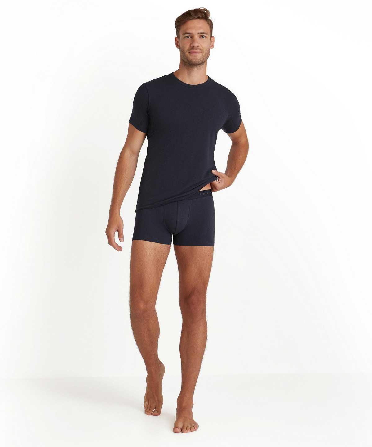 Falke Boxer Daily Climate Control Boxer & Slips Heren Grijs | USA-968172