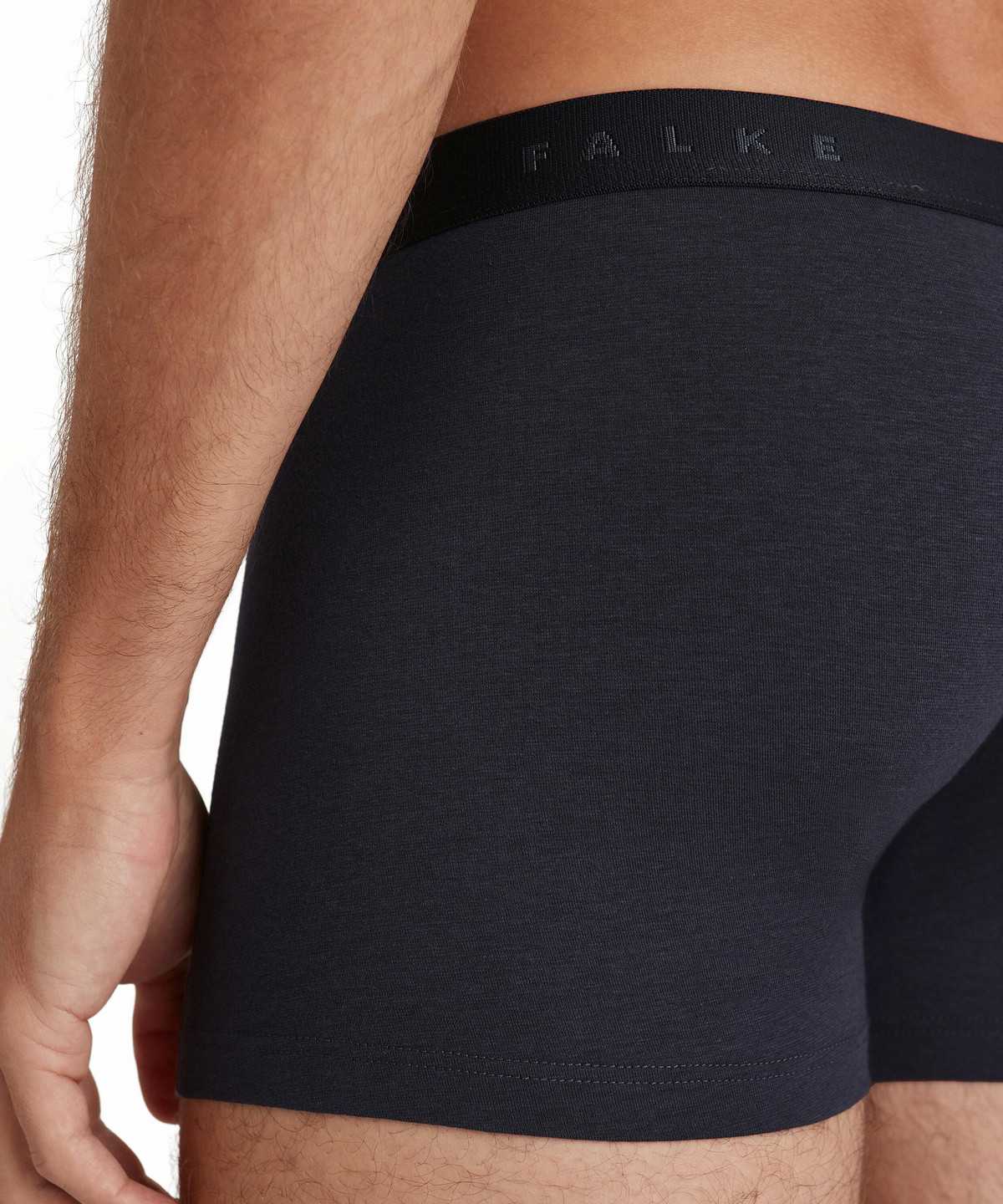 Falke Boxer Daily Climate Control Boxer & Slips Heren Grijs | USA-968172