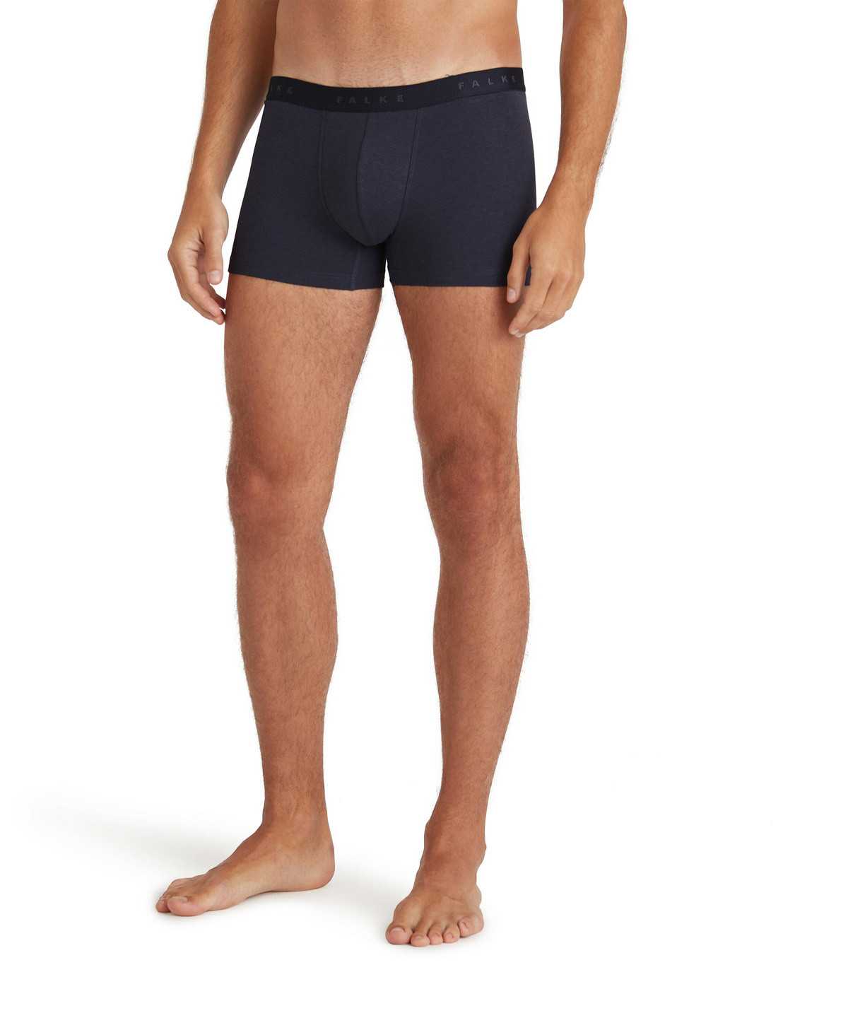 Falke Boxer Daily Climate Control Boxer & Slips Heren Grijs | USA-968172