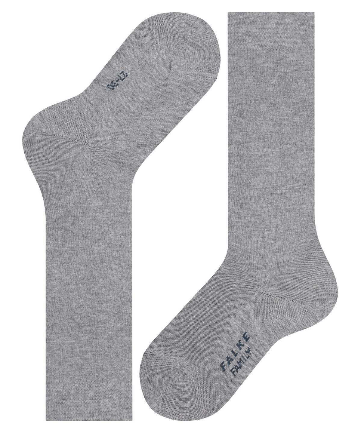 Falke Family Knee-high Socks Sokken Kinderen Grijs | TEM-895234