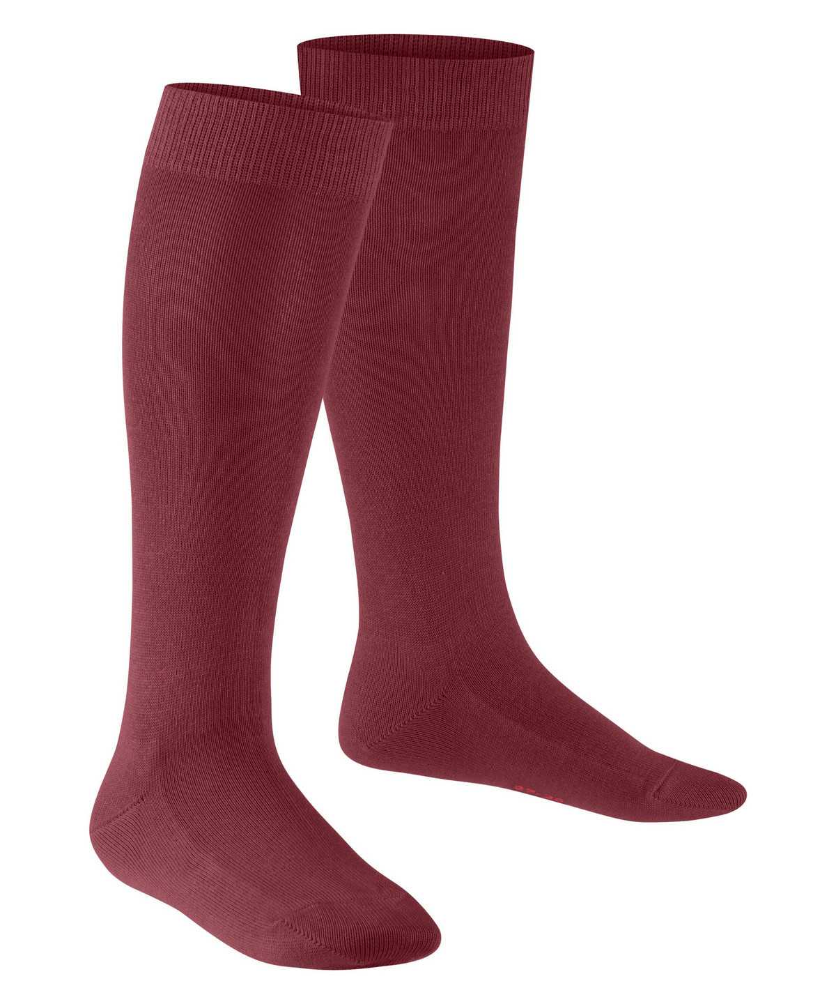 Falke Family Knee-high Socks Sokken Kinderen Rood | PXK-391725