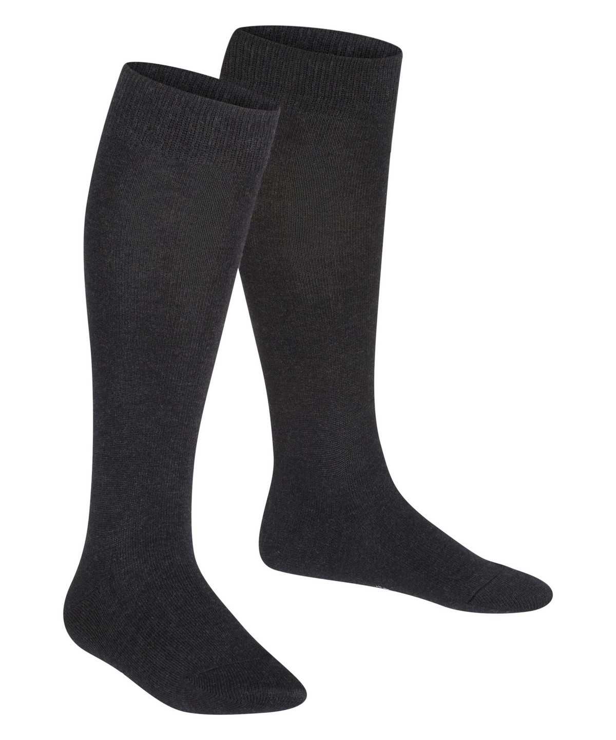 Falke Family Knee-high Socks Sokken Kinderen Grijs | ADM-680423