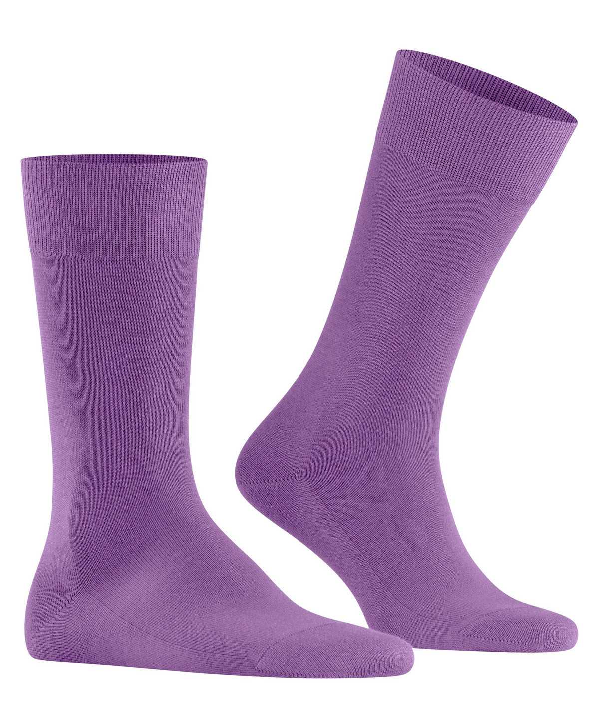 Falke Family Socks Sokken Heren Paars | VCN-149257