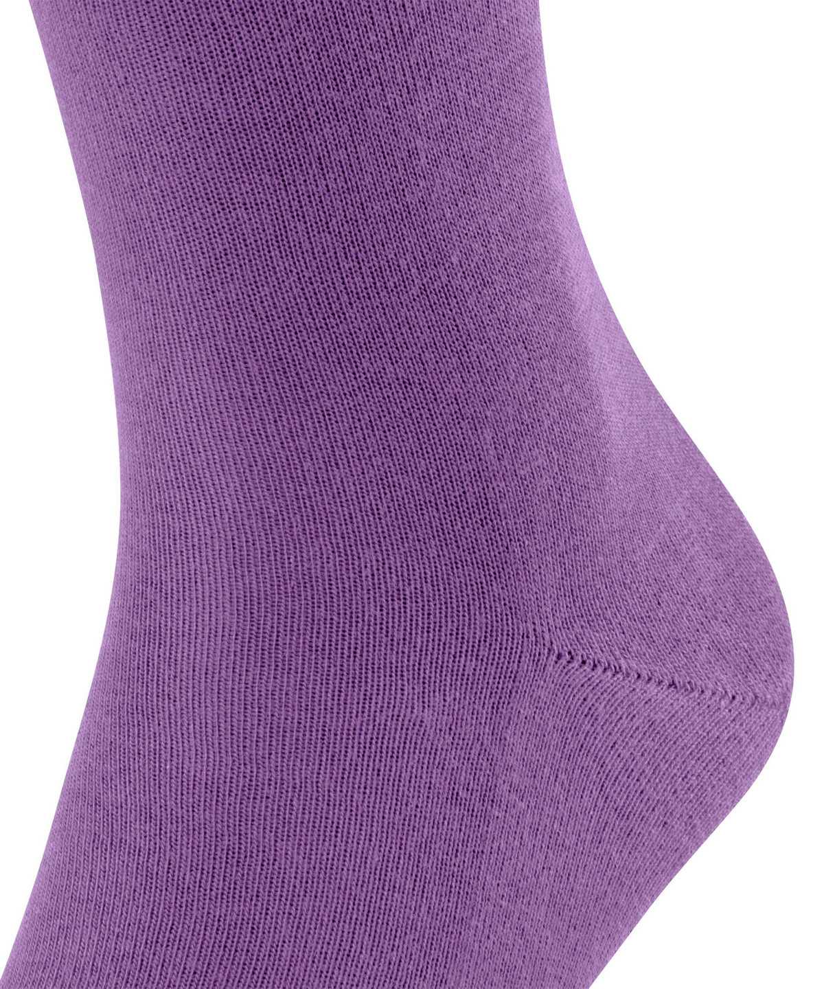 Falke Family Socks Sokken Heren Paars | VCN-149257