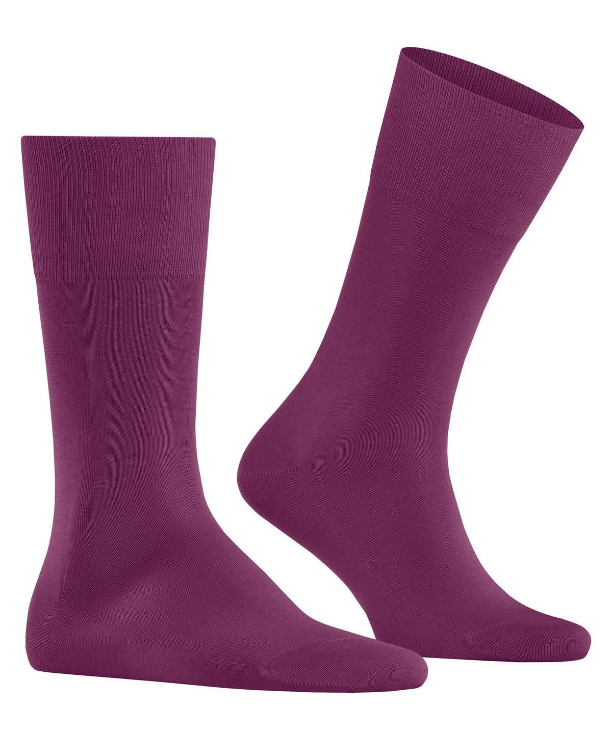 Falke Tiago Socks Sokken Heren Paars | KYH-982074