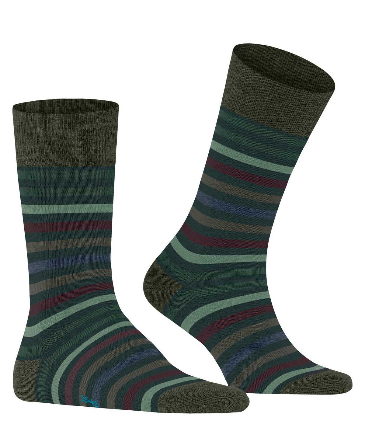 Falke Tinted Stripe Socks Sokken Heren Groen | BHS-983406